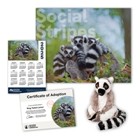 Adopt a Ring-Tailed Lemur - LEMR60