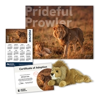 Adopt an African Lion - LION60