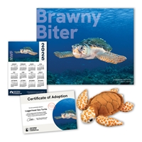 Adopt a Loggerhead Sea Turtle - LTUR60