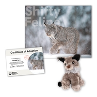 Adopt a Canada Lynx - LYNX40