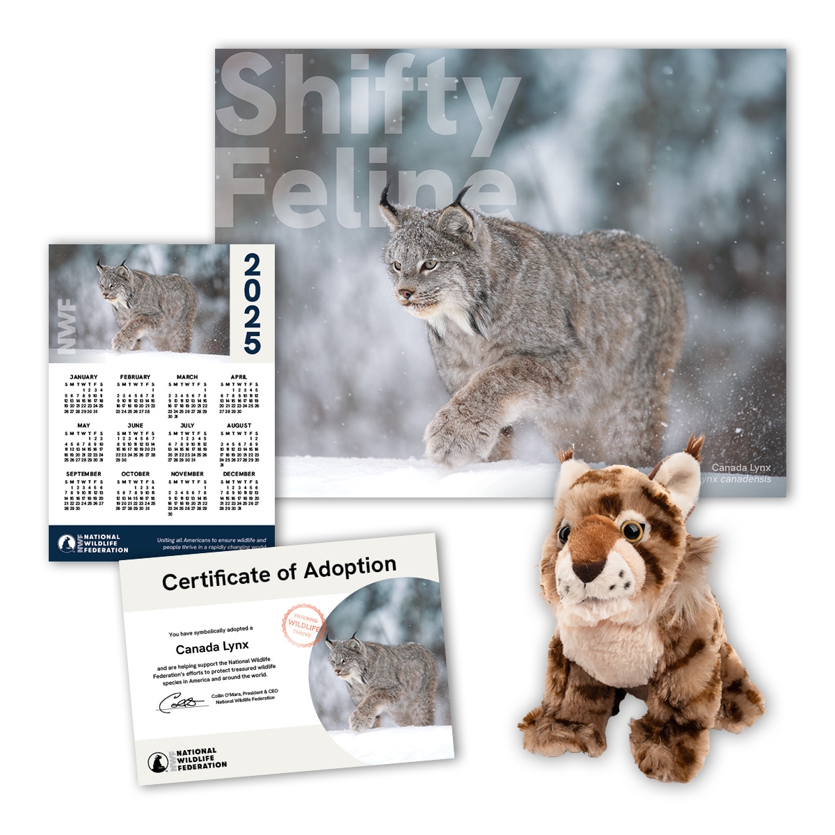 Adopt a Canada Lynx