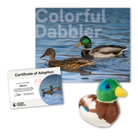 Adopt a Mallard - MLRD40