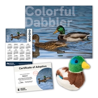 Adopt a Mallard - MLRD60