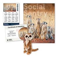 Adopt a Meerkat - MRKT60