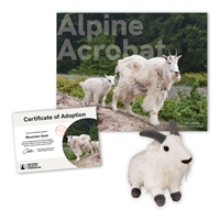 Adopt a Mountain Goat - MTGT40