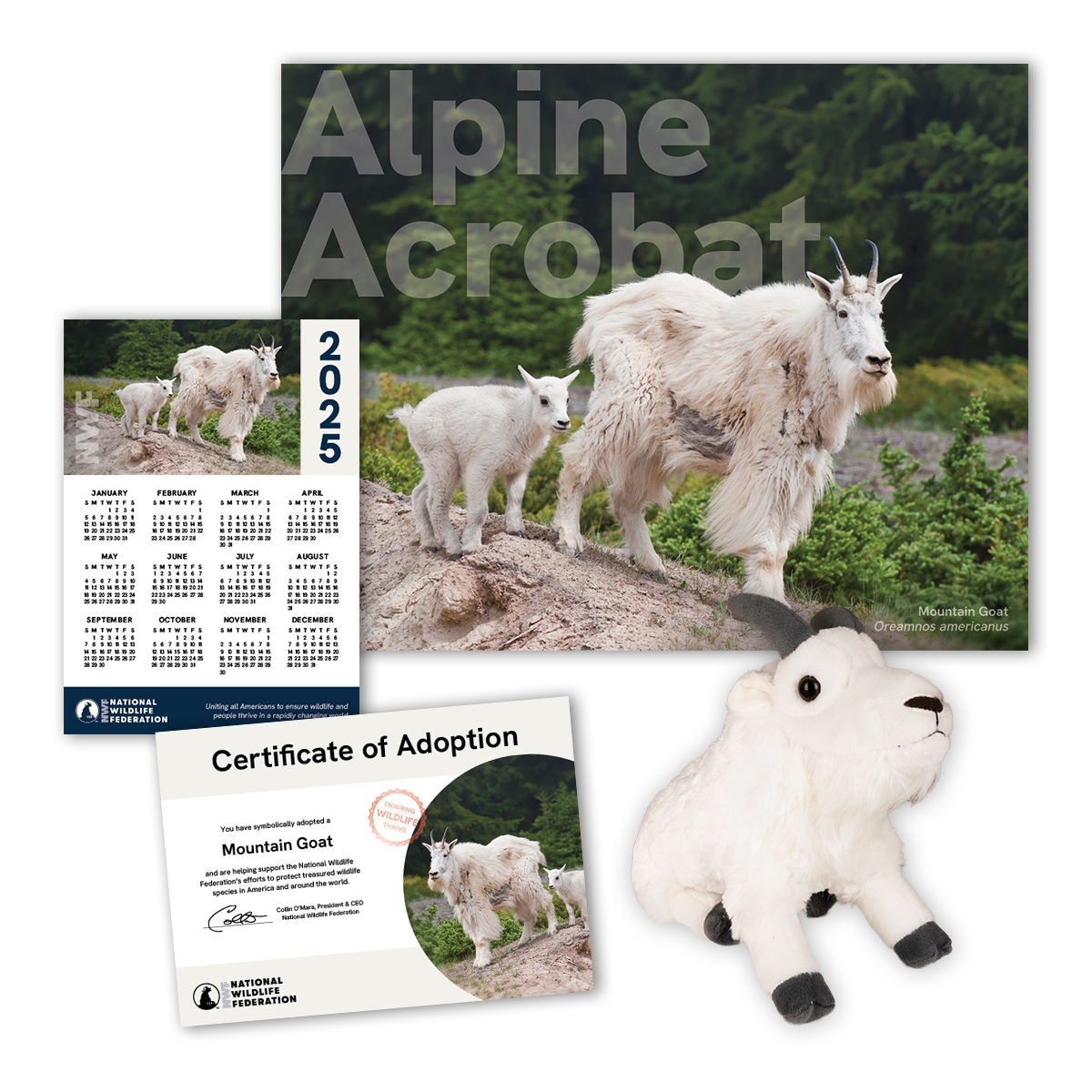 Adopt a Mountain Goat