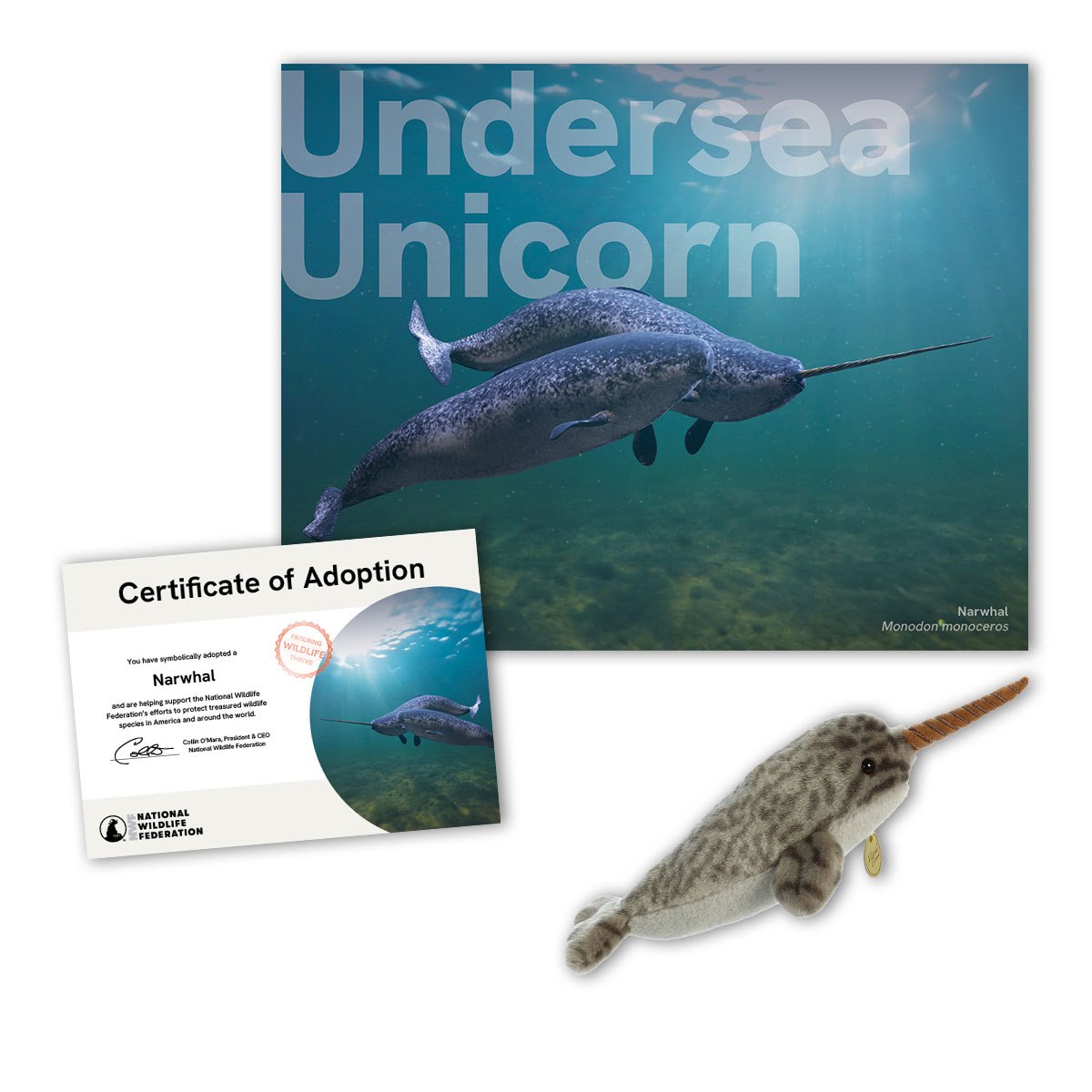 Adopt a Narwhal