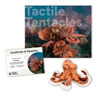 Adopt an Octopus - OCTO40