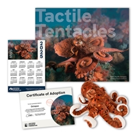 Adopt an Octopus - OCTO60