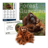 Adopt an Orangutan - ORAN60