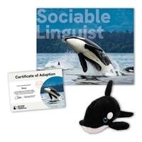 Adopt an Orca - ORCA40