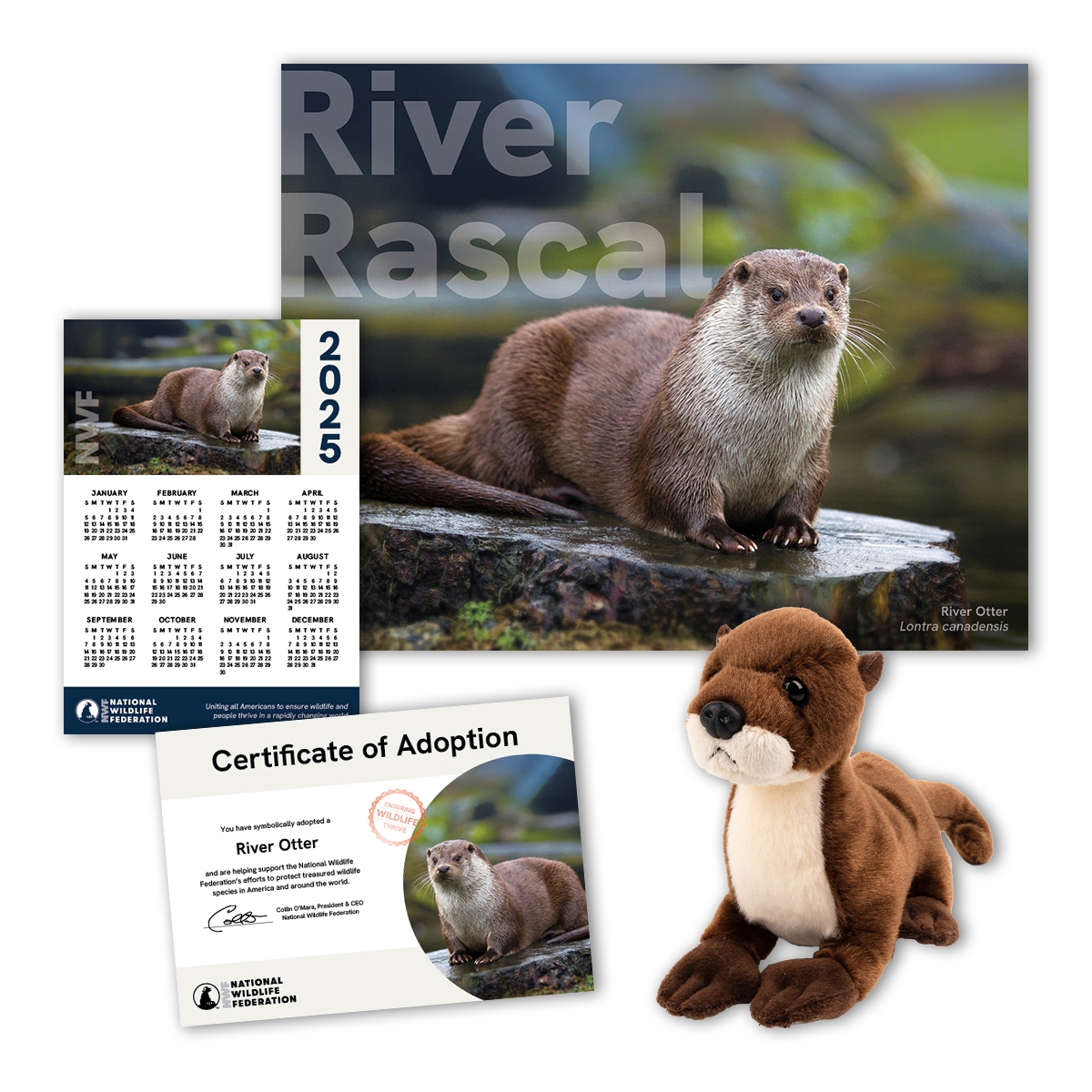 Adopt a River Otter