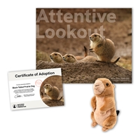 Adopt a Black-Tailed Prairie Dog - PDOG40