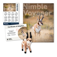 Adopt a Pronghorn - PHRN60