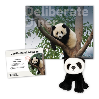 Adopt a Giant Panda