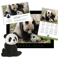 Adopt a Giant Panda - PNDA60