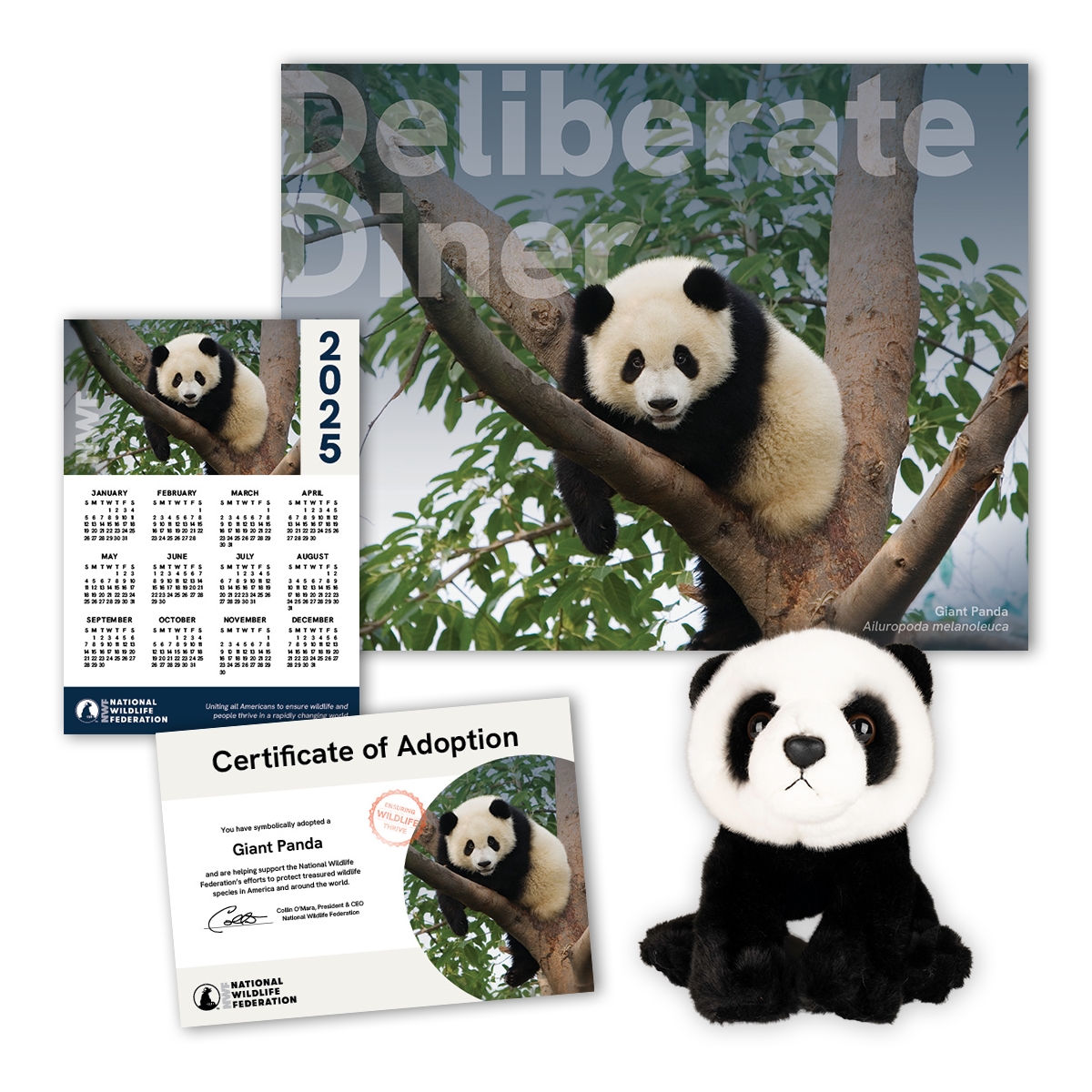 Adopt a Giant Panda