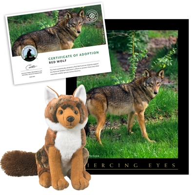 Rambler the Red Wolf Stuffed Toy - Wolf Haven International