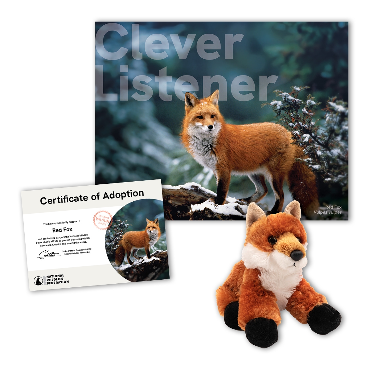 Adopt a Red Fox