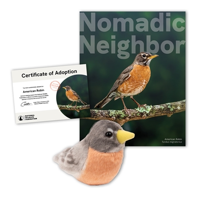 Adopt an American Robin