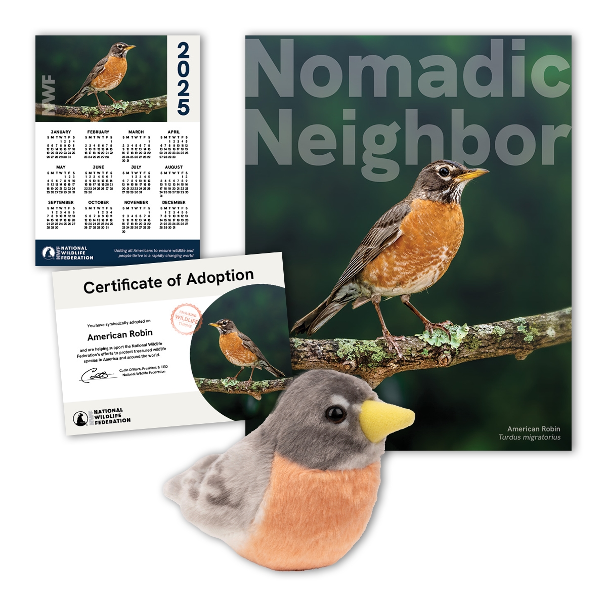 Adopt an American Robin