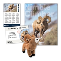 Adopt a Bighorn Sheep - SHEP60