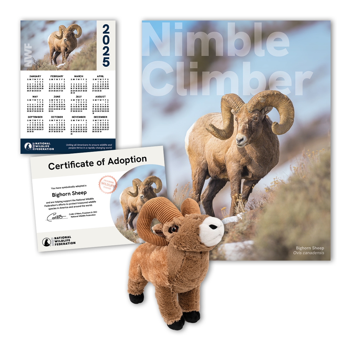 Adopt a Bighorn Sheep