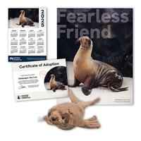 Adopt a Galapagos Sea Lion - SLIN60