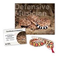 Adopt a Western Diamondback Rattlesnake - SNKE40