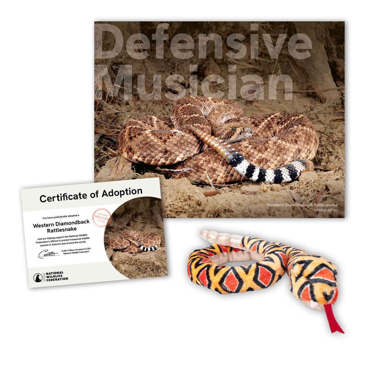 Adopt a Western Diamondback Rattlesnake