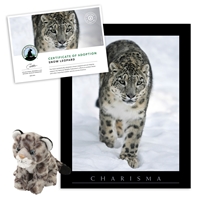 Adopt a Snow Leopard - SNLD40