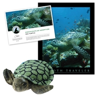 Adopt a Sea Turtle - STUR40