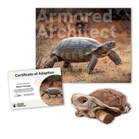 Adopt a Desert Tortoise - TORT40