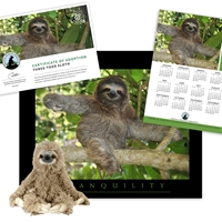 Adopt a Three Toed-Sloth