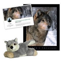 Adopt a Gray Wolf - WOLF40
