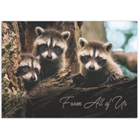 From All of Us Raccoons Holiday Cards - NWF10513