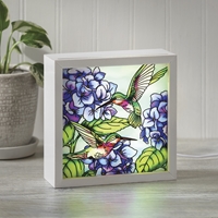 Hummingbird Light Box