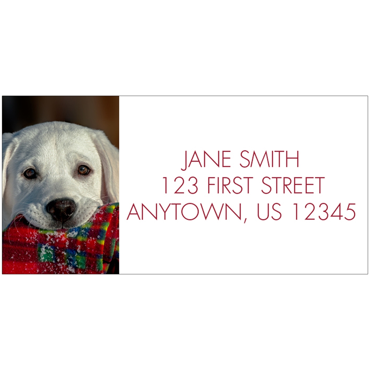 Yellow Lab with Scarf Address Label