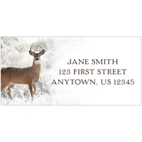 Buck in Frosted Brush Address Label