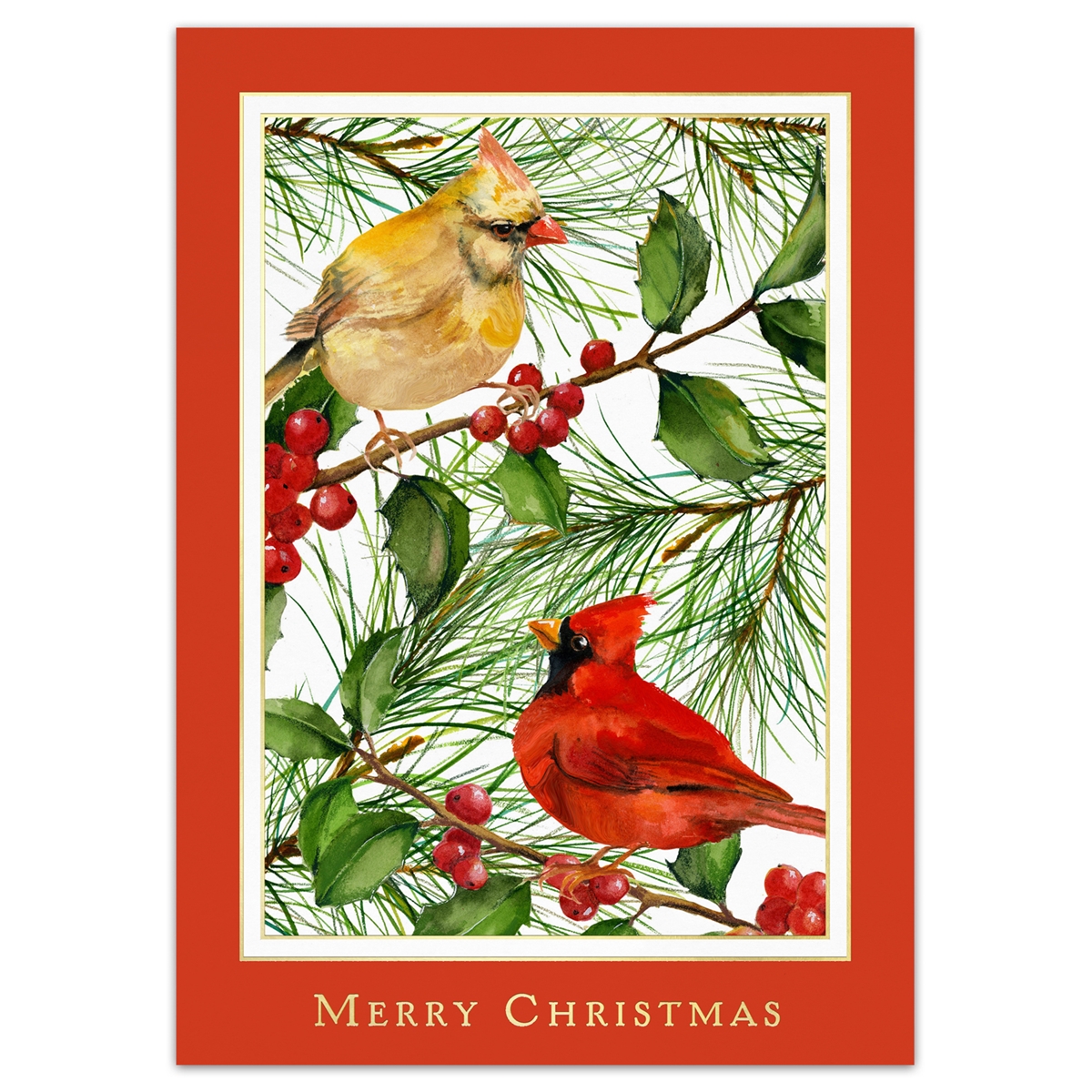 Cardinals in Branches Holiday Cards