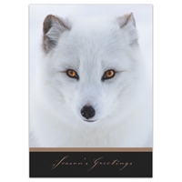 Arctic Fox Holiday Cards - NWF10718