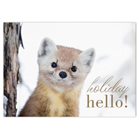 American Marten Hello Holiday Cards - NWF10722