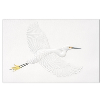 Snowy Egret Holiday Cards - NWF98649