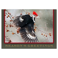 Pileated Woodpecker Holiday Cards