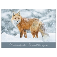 Red Fox in the Snow Holiday Cards