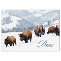 Yellowstone Bison Holiday Cards - NWF10686-BUNDLE