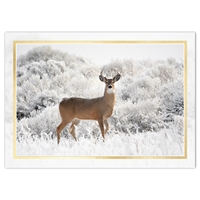 Buck in Frosted Brush Holiday Cards