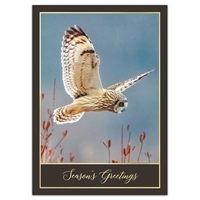 Short-Eared Owl Holiday Cards - NWF10709-BUNDLE