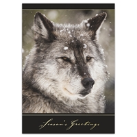 Gray Wolf in the Snow Holiday Cards
