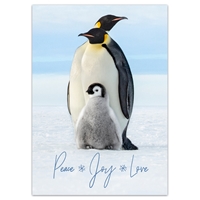 Penguin Parents with Chick Holiday Cards